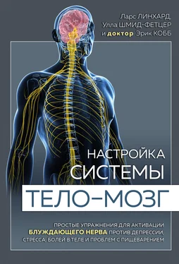 Улла Шмид-Фетцер Настройка системы тело–мозг. Простые упражнения для активации блуждающего нерва против депрессии, стресса, боли в теле и проблем с пищеварением обложка книги