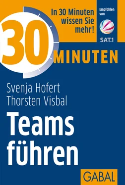 Svenja Hofert 30 Minuten Teams führen обложка книги