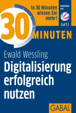 Ewald Wessling 30 Minuten Digitalisierung erfolgreich nutzen обложка книги