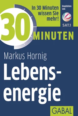 Markus Hornig 30 Minuten Lebensenergie обложка книги