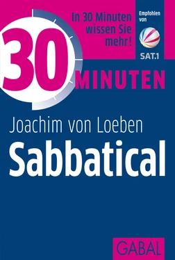 Joachim von Loeben 30 Minuten Sabbatical обложка книги