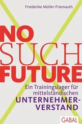 Friederike Müller-Friemauth - No such Future