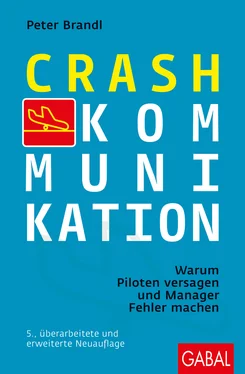 Peter Brandl Crash-Kommunikation обложка книги