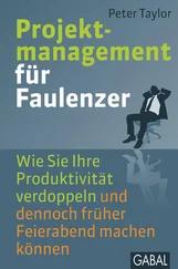 Peter Taylor - Projektmanagement für Faulenzer