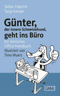 Stefan Frädrich Günter, der innere Schweinehund, geht ins Büro обложка книги