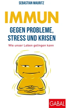 Sebastian Mauritz Immun gegen Probleme, Stress und Krisen обложка книги