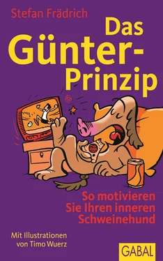 Stefan Frädrich Das Günter-Prinzip обложка книги