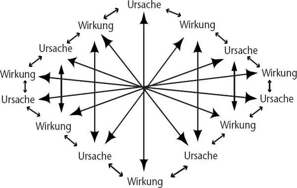Systemische Wechselwirkung Die Suche nach dem Schuldigen bringt nichts Die - фото 3