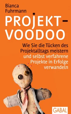 Bianca Fuhrmann Projekt-Voodoo® обложка книги
