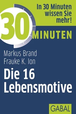 Frauke Ion 30 Minuten Die 16 Lebensmotive обложка книги