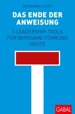 Bernhard Cevey Das Ende der Anweisung обложка книги