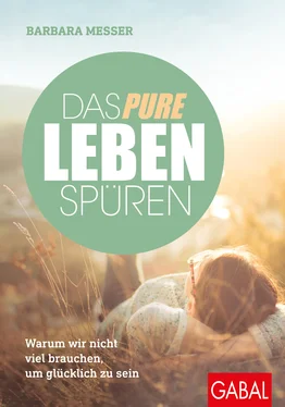 Barbara Messer Das pure Leben spüren обложка книги