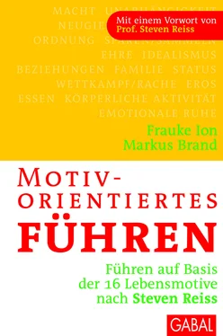 Frauke Ion Motivorientiertes Führen обложка книги