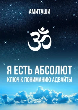 Амиташи Я есть Абсолют. Ключ к пониманию адвайты обложка книги