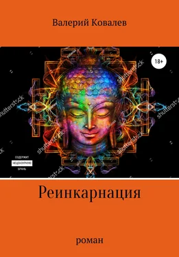 Валерий Ковалев Реинкарнация. Роман обложка книги