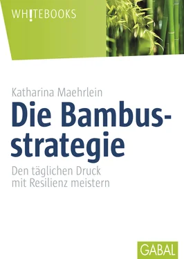 Katharina Maehrlein Die Bambusstrategie обложка книги