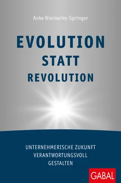 Anke Nienkerke-Springer Evolution statt Revolution обложка книги