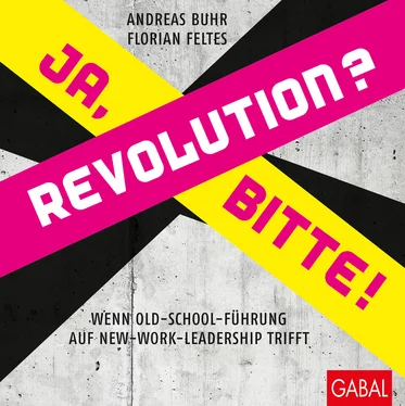 Andreas Buhr Revolution? Ja, bitte! обложка книги