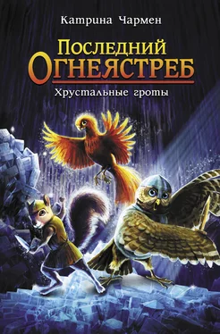 Катрина Чармен Последний огнеястреб. Хрустальные гроты обложка книги