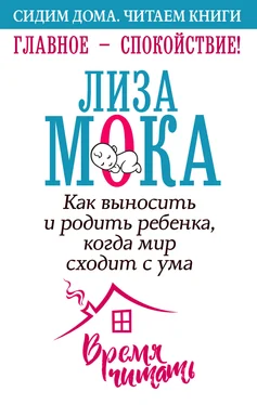 Лиза Мока Главное – спокойствие! обложка книги