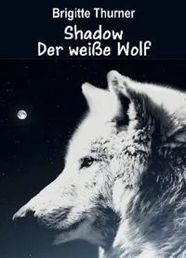 Brigitte Thurner Shadow - Der weiße Wolf обложка книги