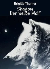 Brigitte Thurner - Shadow - Der weiße Wolf