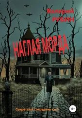 Валерий РУБИН - Наглая морда