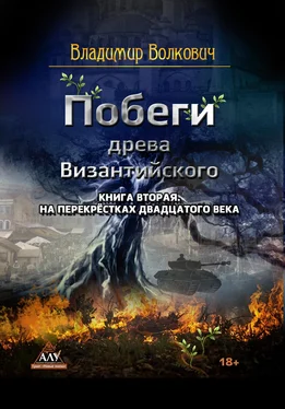 Владимир Волкович Побеги древа Византийского. Книга вторая. На перекрёстках двадцатого века обложка книги