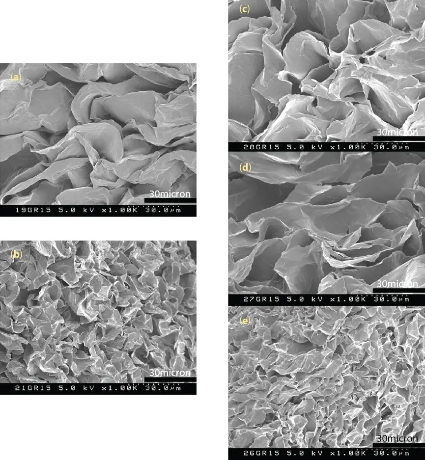 Figure 211 SEM micrographs of PE waxoil lipsticks at fixed 15 PE wax in - фото 30