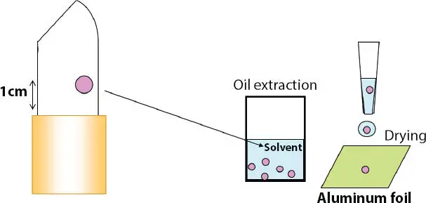 Figure 24 Lipstick sample preparation for SEM investigation 22 where ΔH - фото 22