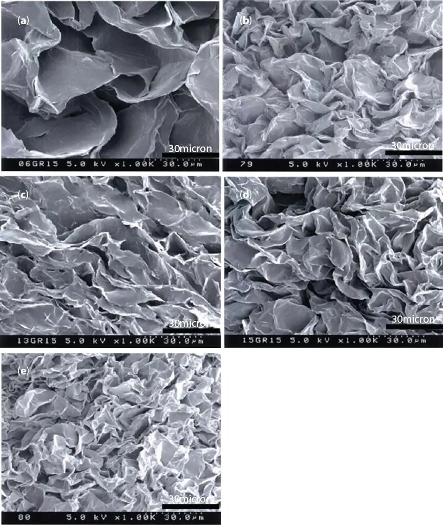 Figure 219 SEM micrographs of PE waxoil lipsticks at fixed 15 PE wax in - фото 38