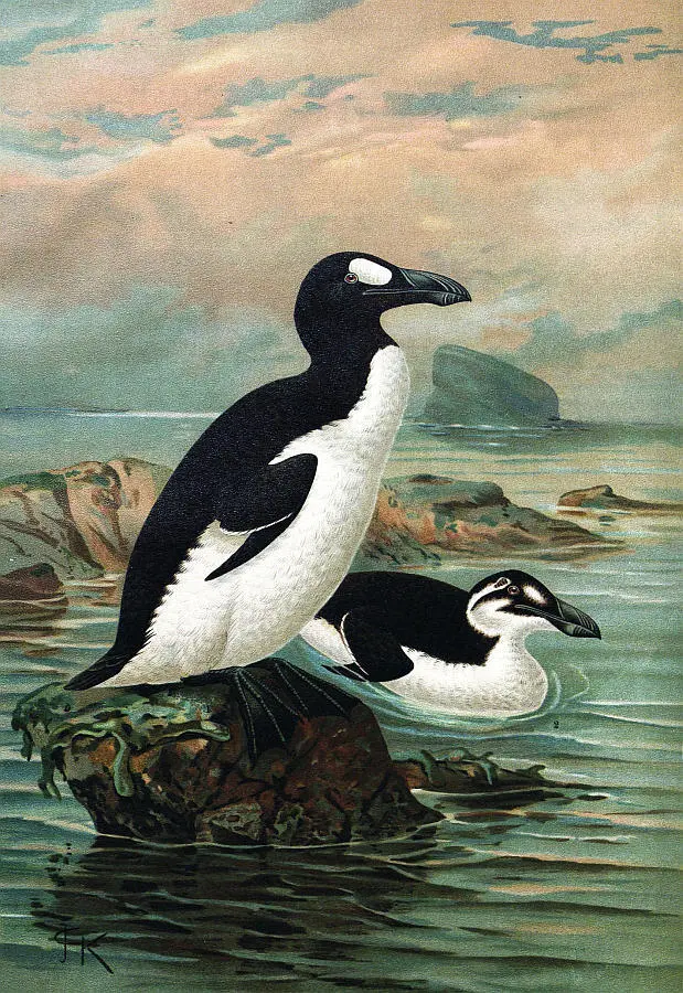PART II Threats to Biodiversity The last word in ignorance is the man who - фото 61