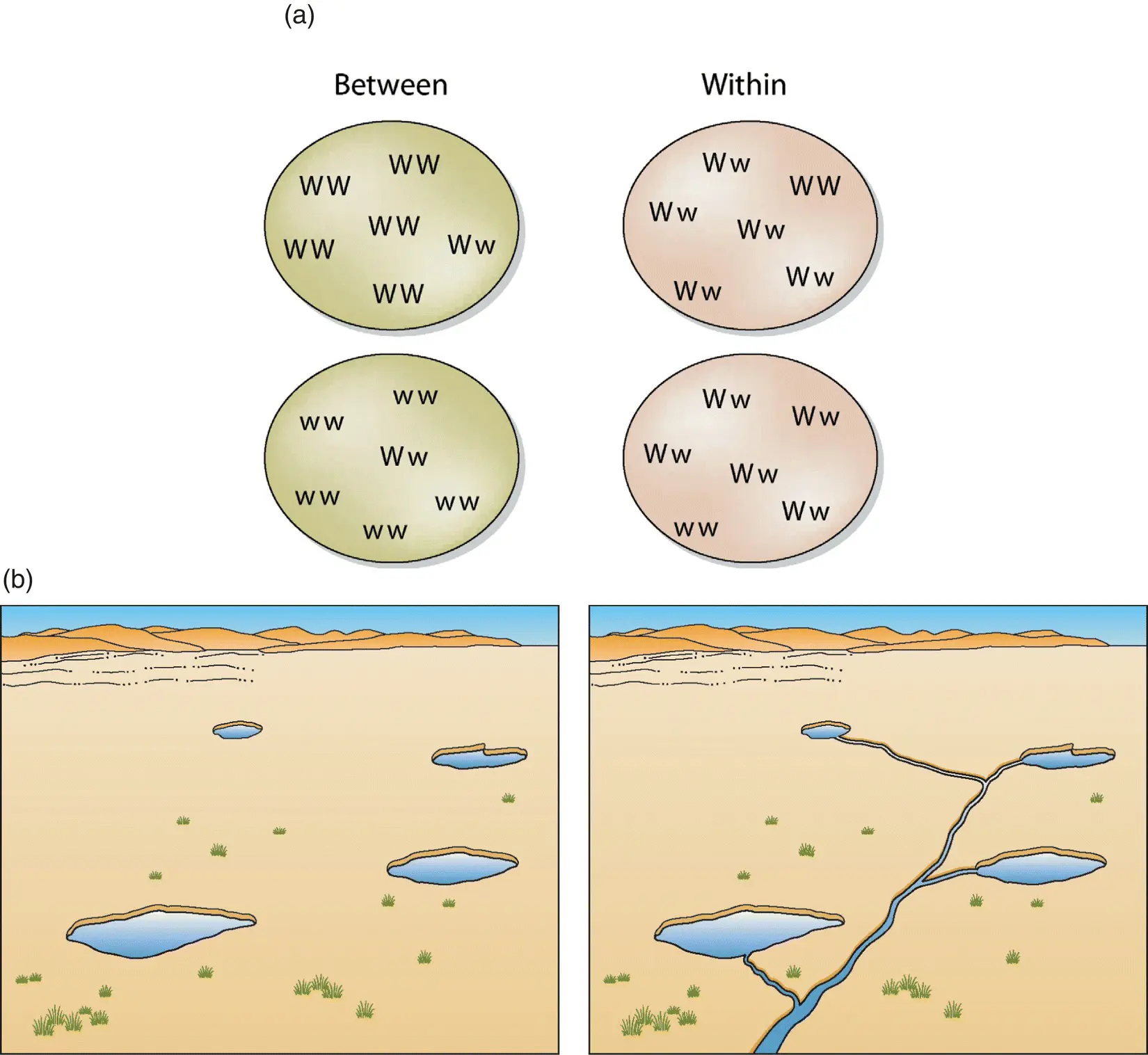 Figure 54 Genetic diversity is partitioned within versus among populations to - фото 46