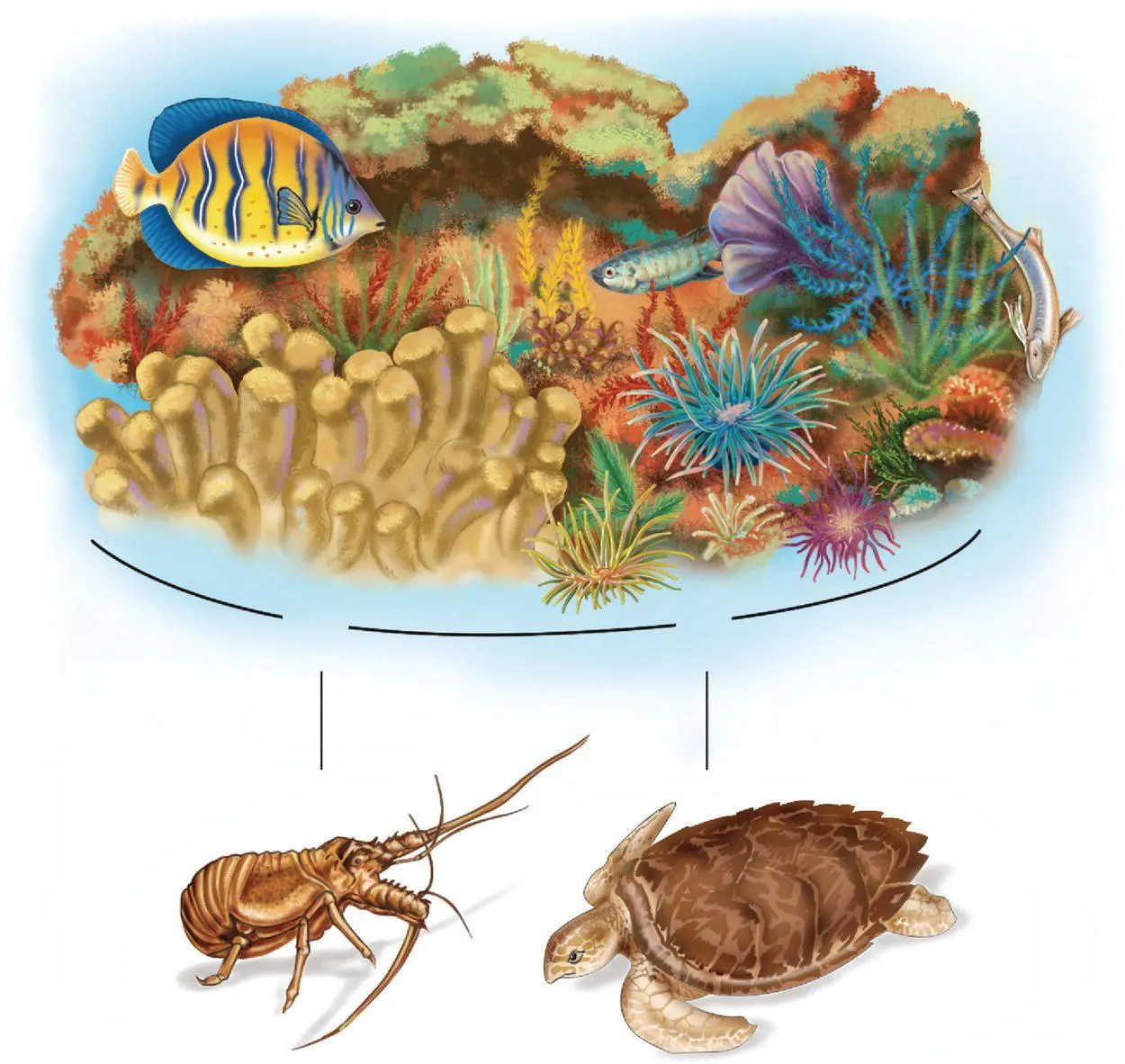 Figure 48 The strategic value of ecosystems is illustrated by the - фото 36