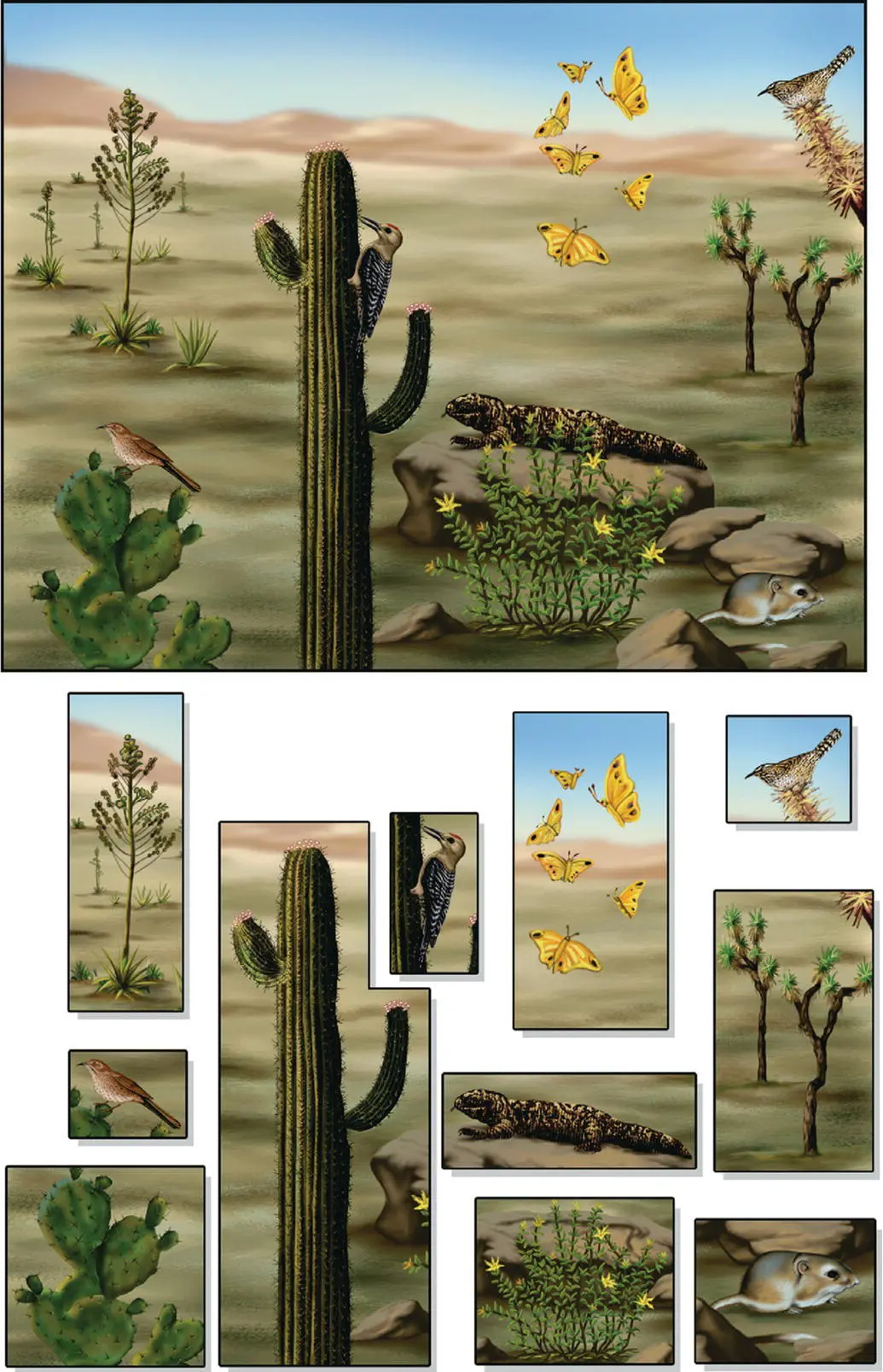 Figure 43 Are ecosystems tightly connected systems of closely coevolved - фото 31