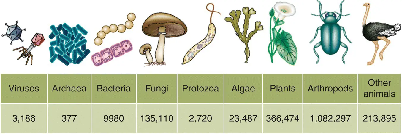 Figure 31 Over 18 million species have been described by scientists and - фото 14