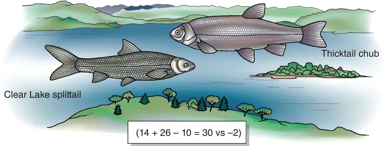 Figure 24 Clear Lake in northern California used to be inhabited by 14 native - фото 12