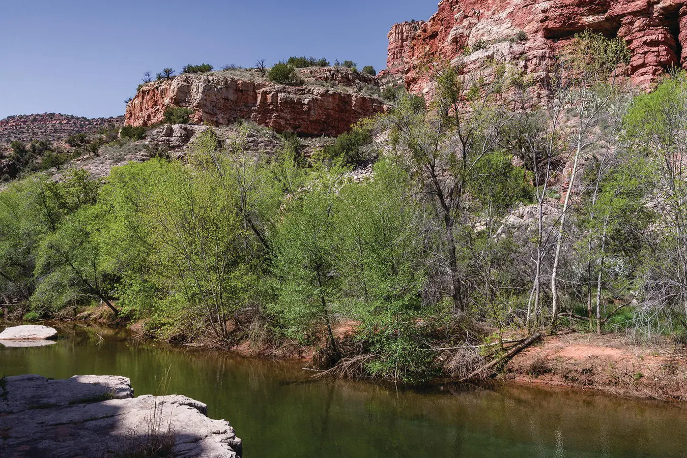 Figure 47 The narrow riparian zones that border river shores are far more - фото 35