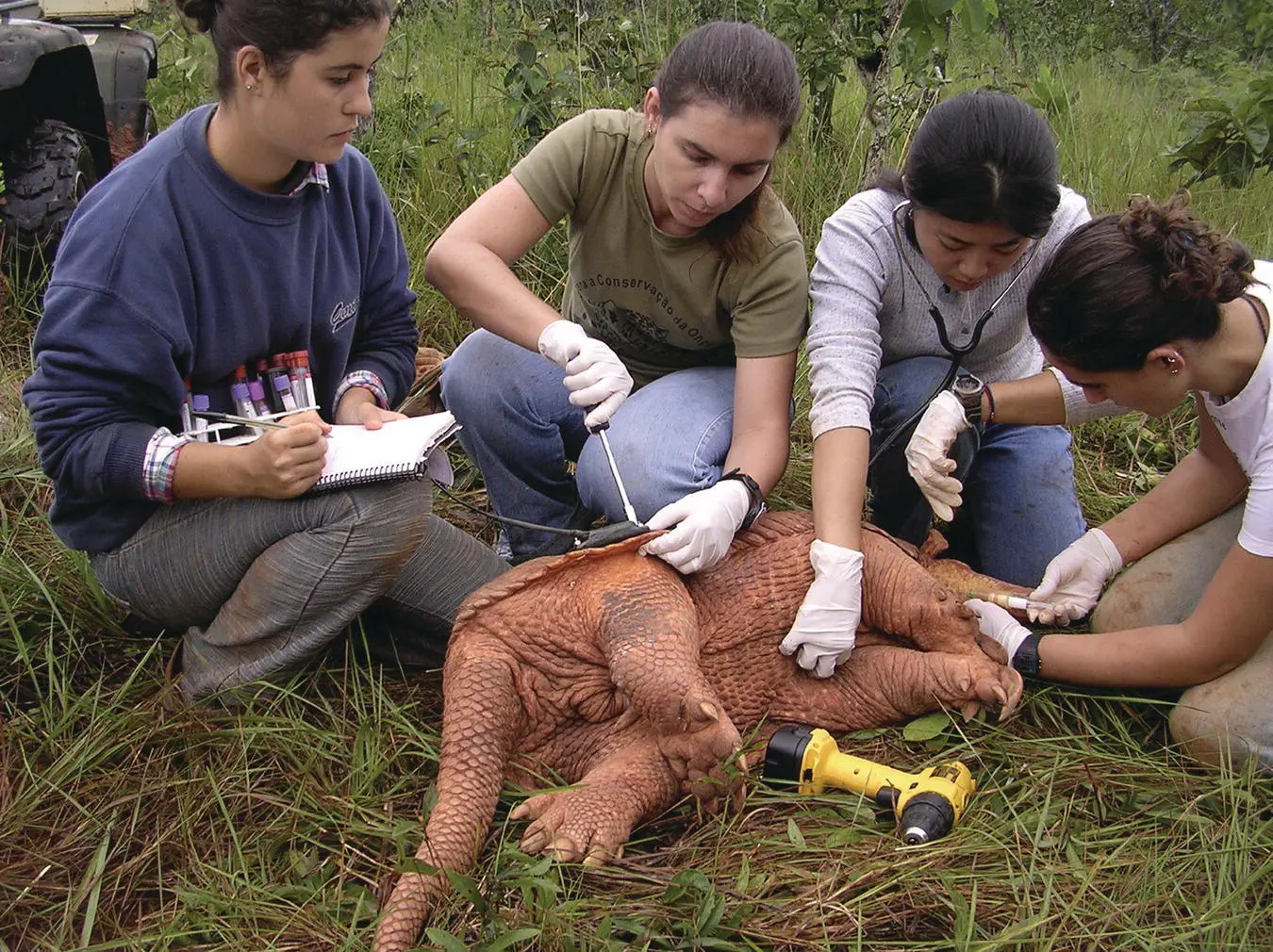 Figure 39 Other organisms teach us about our world Here biologists attach a - фото 22