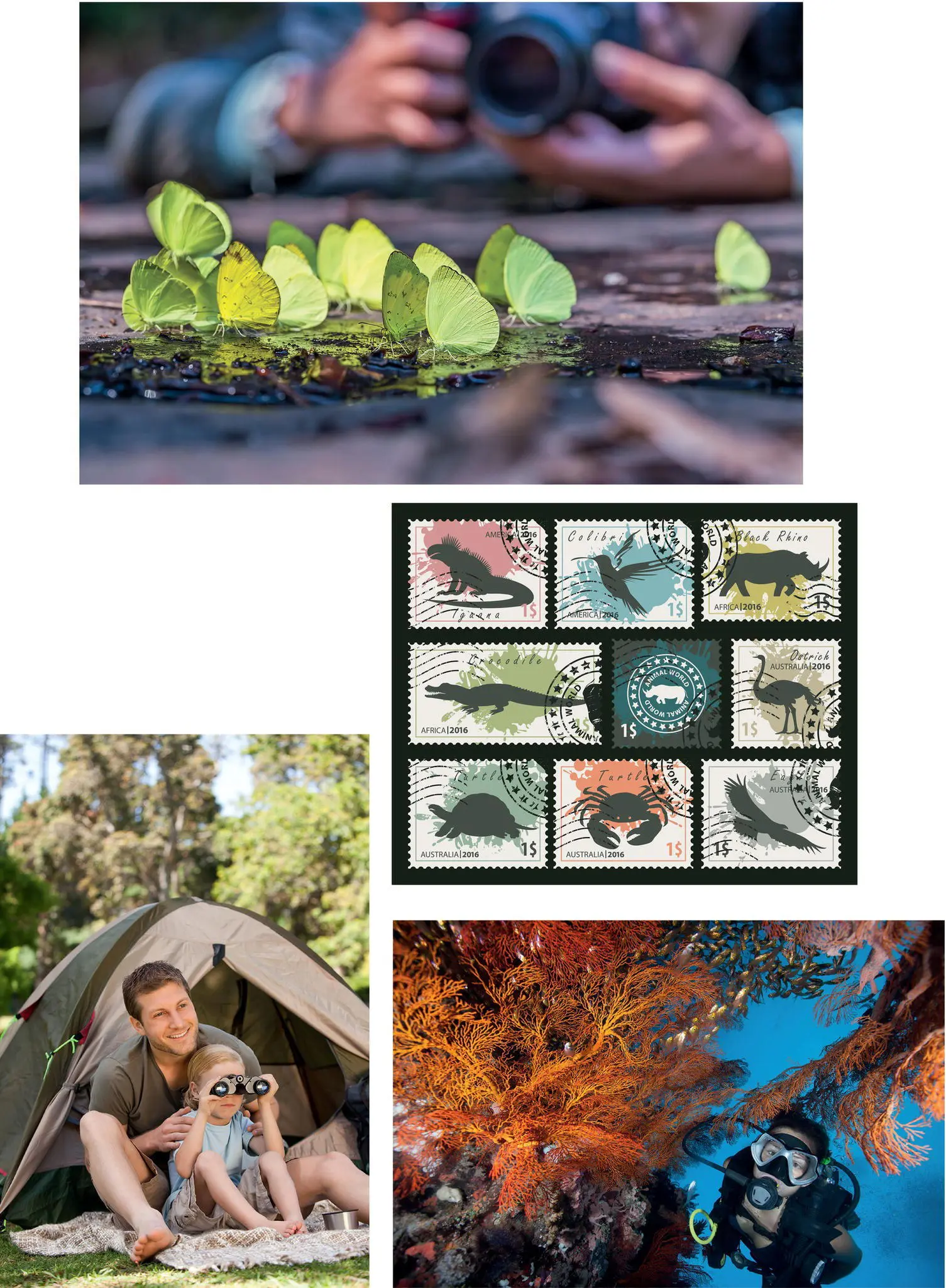 Figure 38 People enjoy the diversity of nature in many ways Some seek - фото 21