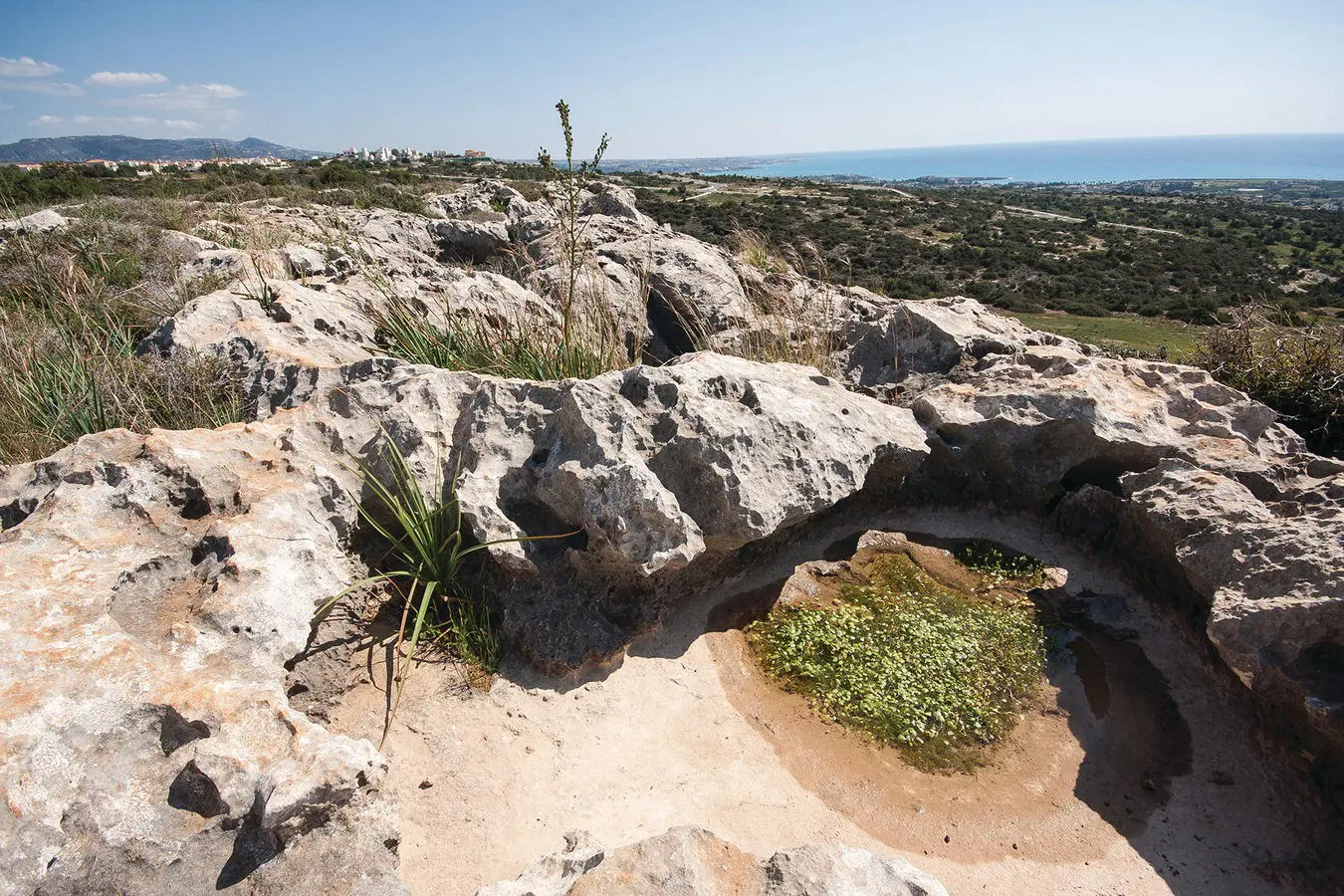 Figure 44 Some types of ecosystems are rare because most examples have been - фото 32