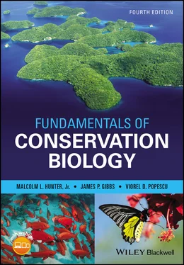 Malcolm L. Hunter Fundamentals of Conservation Biology обложка книги