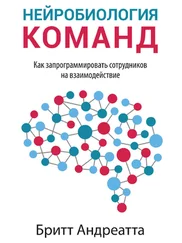 Бритт Андреатта - Нейробиология команд - как запрограммировать сотрудников на взаимодействие