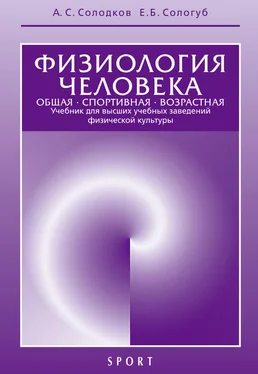 Александр Солодков Физиология человека. Общая. Спортивная. Возрастная обложка книги