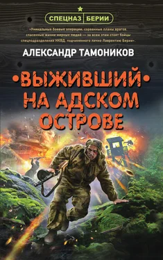 Александр Тамоников Выживший на адском острове обложка книги