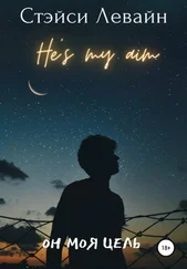 Стэйси Левайн - Он моя цель