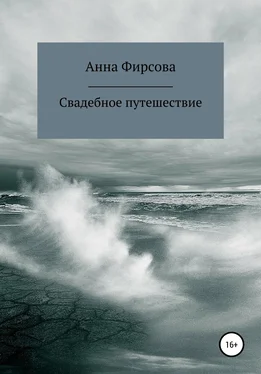 Анна Фирсова Свадебное путешествие обложка книги