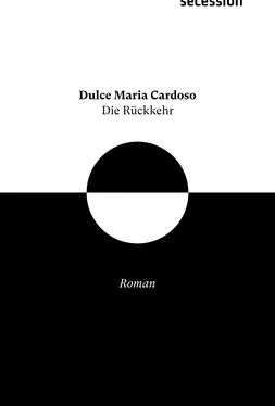 Dulce Cardoso Die Rückkehr обложка книги