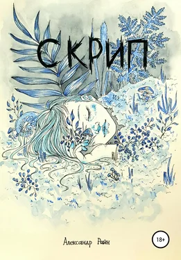 Александр Райн Скрип обложка книги