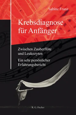 Sabine Franz Krebsdiagnose für Anfänger обложка книги